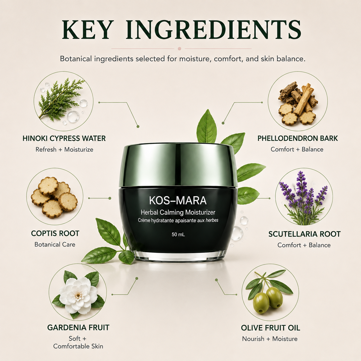 A cosmetic ingredient infographic centered on a black jar labeled KOS-MARA Herbal Calming Moisturizer, with surrounding callouts for Hinoki Cypress Water, Phellodendron Bark, Coptis Root, Scutellaria Root, Gardenia Fruit, and Olive Fruit Oil on a light beige background.