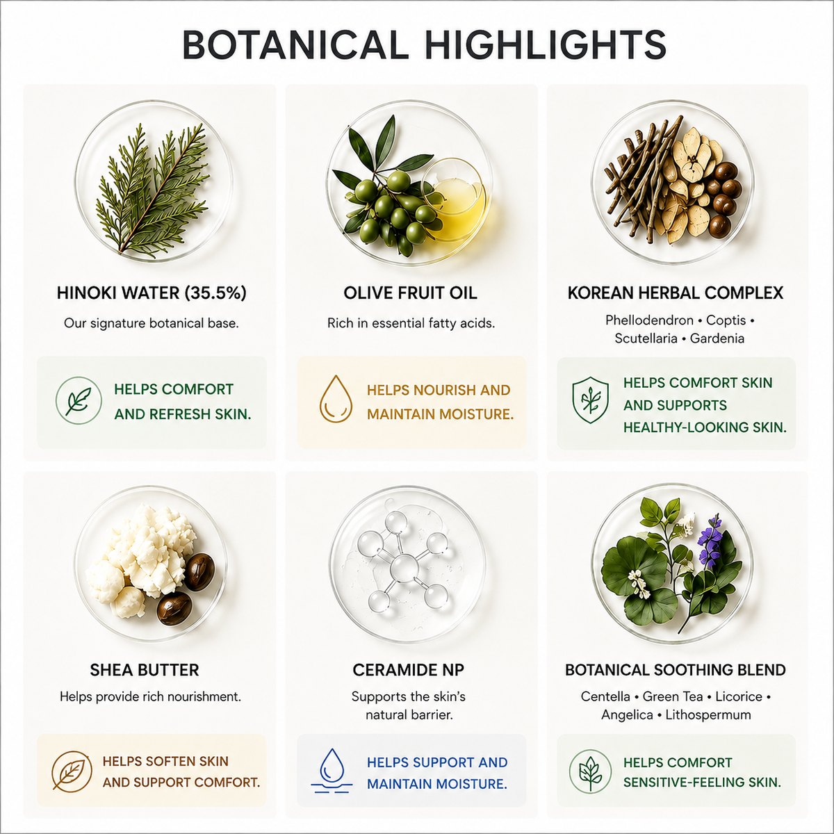 An informational graphic titled 'BOTANICAL HIGHLIGHTS' showing six ingredient panels arranged in a grid on a white background. Panels include hinoki water, olive fruit oil, a Korean herbal complex, shea butter, ceramide NP, and a botanical soothing blend, each with a small icon and text describing benefits.